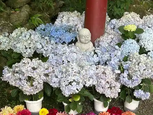 岡寺（龍蓋寺）(奈良県)