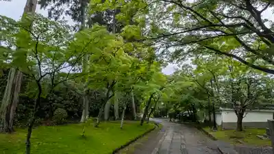 真正極楽寺(真如堂)(京都府)
