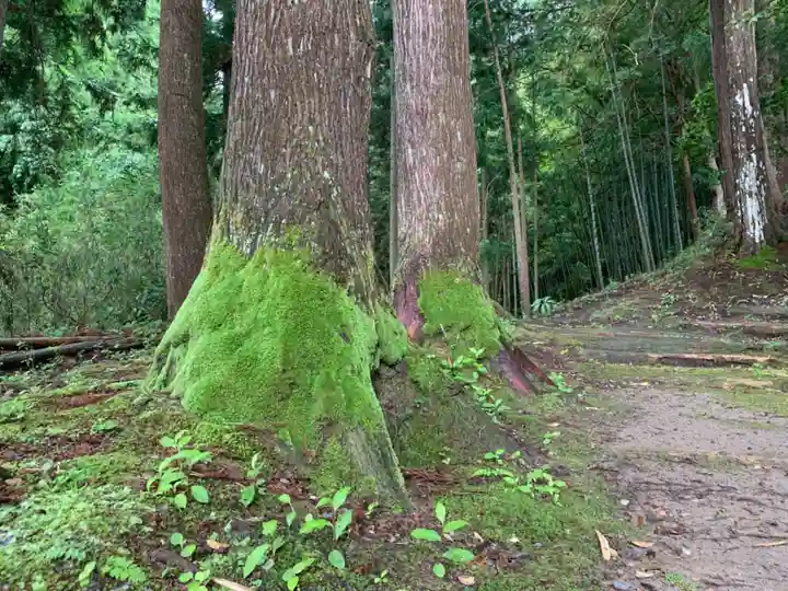 山神水神社の自然