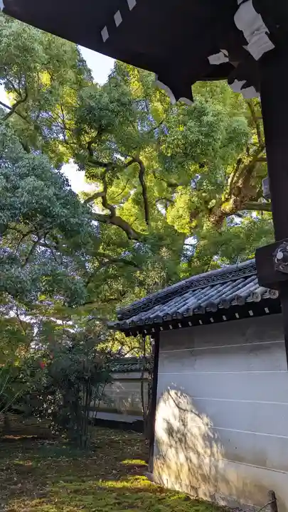 青蓮院門跡(京都府)