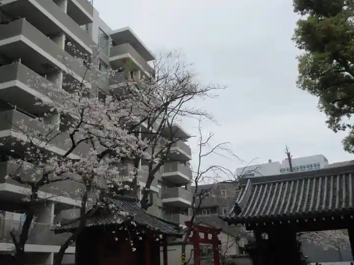 品川寺(東京都)