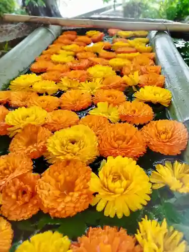 立志神社(滋賀県)