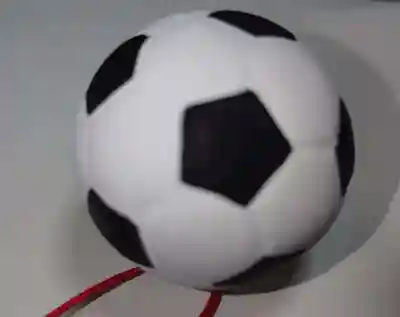 奥田神社のおみくじ