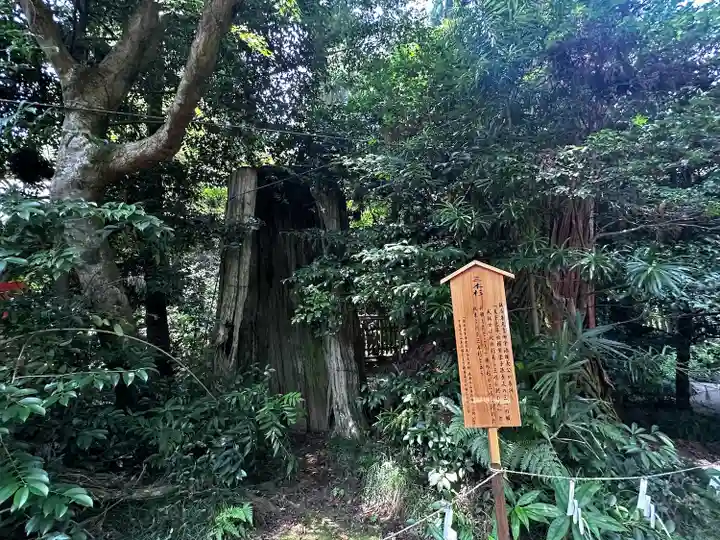 香取神宮(千葉県)