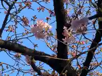 鏡神社の{uncategorized: "未分類", other: "その他", undefined: "問題あり", building: "その他建物", grave: "お墓", sacred_gate: "鳥居", guardian: "狛犬", statue: "像", buddha: "仏像", history: "歴史", nature: "自然", garden: "庭園", animal: "動物", pagoda: "塔", temizu: "手水舎", mountain_gate: "山門・神門", sanctuary: "本殿・本堂", subordinate: "末社・摂社", art: "芸術", scenery: "景色", jizo: "地蔵", ema: "絵馬", goshuin: "御朱印", omikuji: "おみくじ", items: "授与品その他", amulet: "お守り", goshuincho: "御朱印帳", eats: "食事", festival: "お祭り", votive_dance: "神楽", shichigosan: "七五三参", wedding: "結婚式", experience: "体験その他", initially: "初詣", around: "周辺", anti_infection: "感染症対策"}