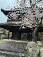 遍照寺法界院の{uncategorized: "未分類", other: "その他", undefined: "問題あり", building: "その他建物", grave: "お墓", sacred_gate: "鳥居", guardian: "狛犬", statue: "像", buddha: "仏像", history: "歴史", nature: "自然", garden: "庭園", animal: "動物", pagoda: "塔", temizu: "手水舎", mountain_gate: "山門・神門", sanctuary: "本殿・本堂", subordinate: "末社・摂社", art: "芸術", scenery: "景色", jizo: "地蔵", ema: "絵馬", goshuin: "御朱印", omikuji: "おみくじ", items: "授与品その他", amulet: "お守り", goshuincho: "御朱印帳", eats: "食事", festival: "お祭り", votive_dance: "神楽", shichigosan: "七五三参", wedding: "結婚式", experience: "体験その他", initially: "初詣", around: "周辺", anti_infection: "感染症対策"}