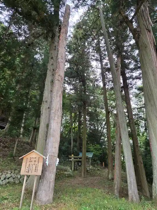 子檀嶺神社(長野県)