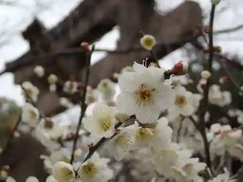 道明寺天満宮の庭園