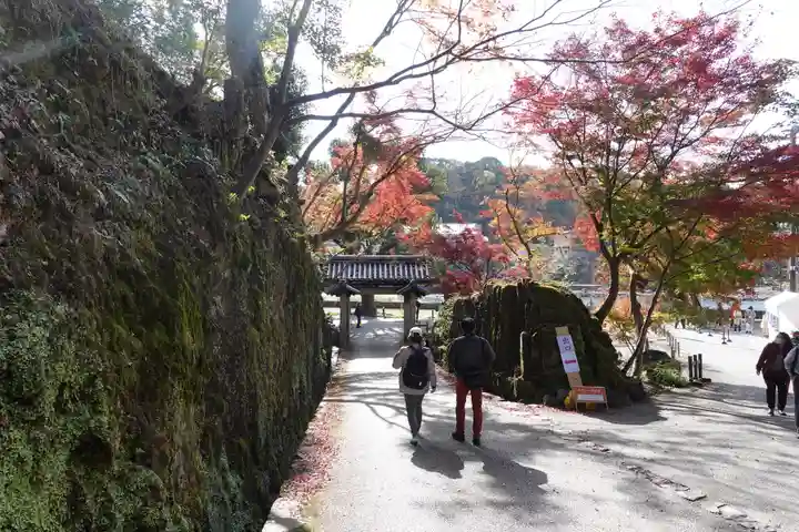 興聖寺(興聖寶林禅寺)(京都府)