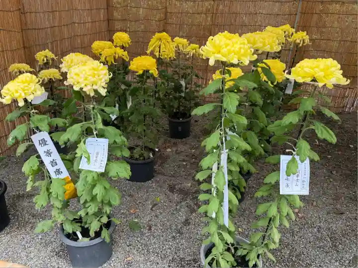 高麗神社(埼玉県)