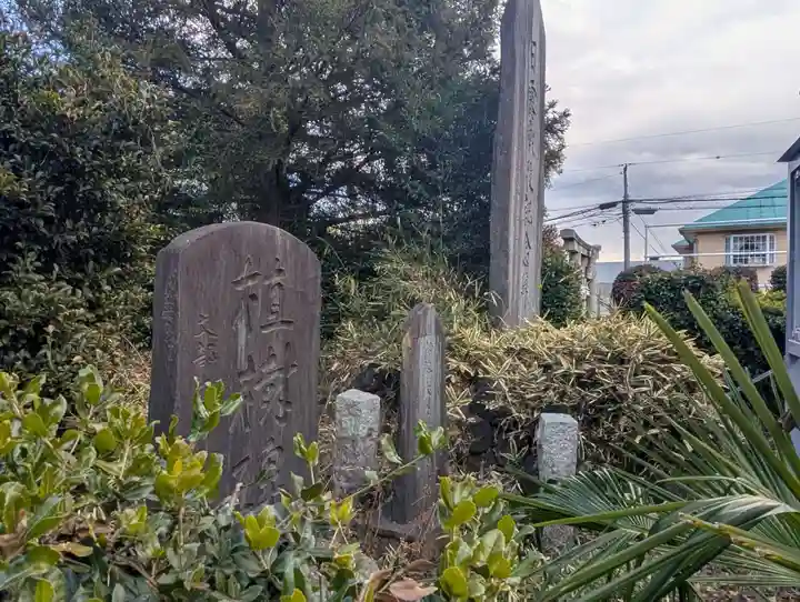下新倉氷川八幡神社(埼玉県)