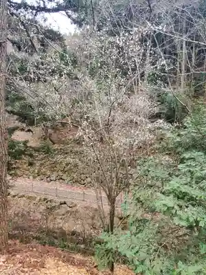 武蔵二宮 金鑚神社(埼玉県)