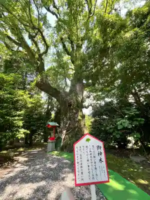 大汝牟遅神社(鹿児島県)