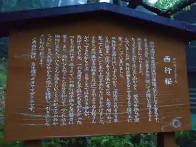 戸隠神社火之御子社(長野県)