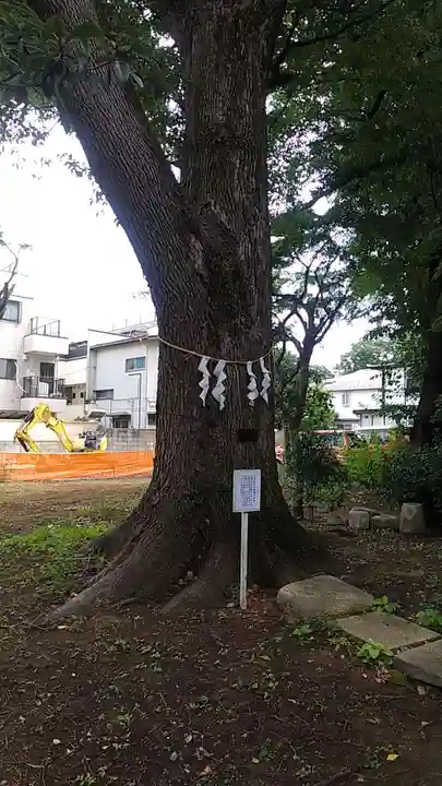 観音寺(世田谷山観音寺)(東京都)