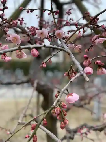 伊勢の国 四天王寺の自然