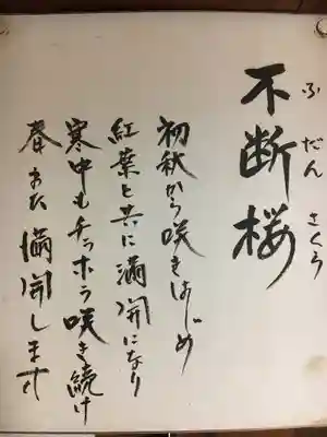 実光院(京都府)