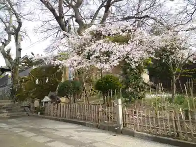 阿智神社の末社・摂社