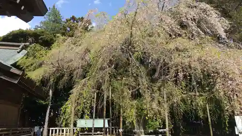 常陸第三宮　吉田神社(茨城県)