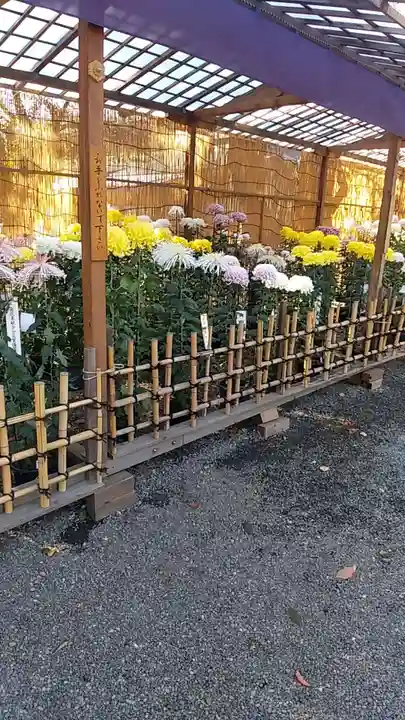 靖國神社のその他建物