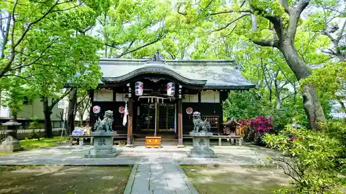 津守神社の本殿