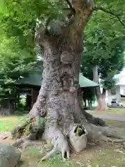 大嶋神社(長野県)