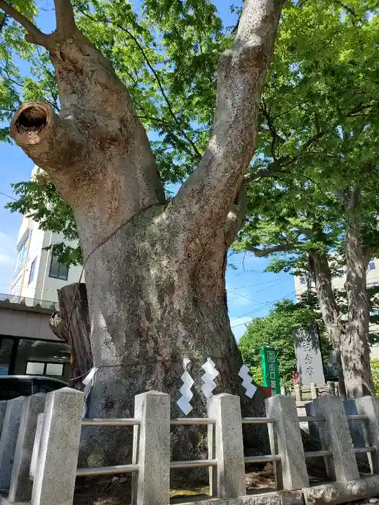 阿邪訶根神社の自然