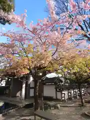 宗仲寺(神奈川県)