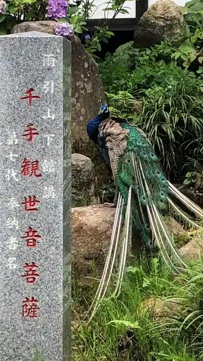 楽法寺(雨引観音)(茨城県)