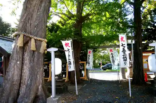 札幌諏訪神社の自然