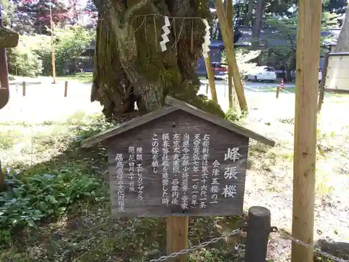 蠶養國神社(福島県)