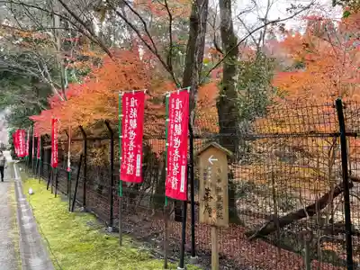 醍醐寺(京都府)