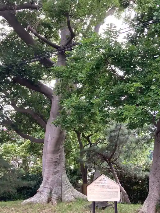 虚空蔵堂の建物その他