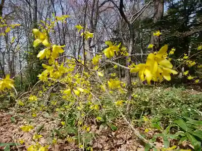 厚別神社(北海道)