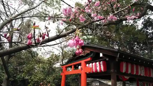 平野神社の自然