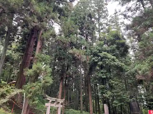 大宮温泉神社(栃木県)