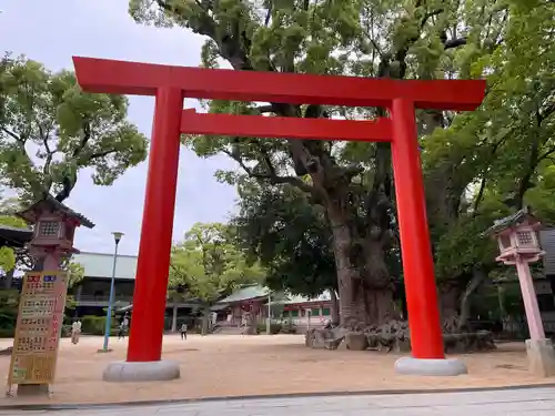 長田神社の鳥居