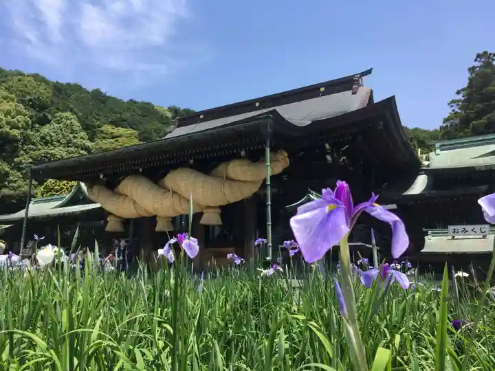 宮地嶽神社の本殿・本堂