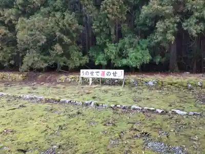 白石神社（若狭彦神社境外末社）の{uncategorized: "未分類", other: "その他", undefined: "問題あり", building: "その他建物", grave: "お墓", sacred_gate: "鳥居", guardian: "狛犬", statue: "像", buddha: "仏像", history: "歴史", nature: "自然", garden: "庭園", animal: "動物", pagoda: "塔", temizu: "手水舎", mountain_gate: "山門・神門", sanctuary: "本殿・本堂", subordinate: "末社・摂社", art: "芸術", scenery: "景色", jizo: "地蔵", ema: "絵馬", goshuin: "御朱印", omikuji: "おみくじ", items: "授与品その他", amulet: "お守り", goshuincho: "御朱印帳", eats: "食事", festival: "お祭り", votive_dance: "神楽", shichigosan: "七五三参", wedding: "結婚式", experience: "体験その他", initially: "初詣", around: "周辺", anti_infection: "感染症対策"}
