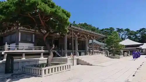 忉利天上寺の庭園