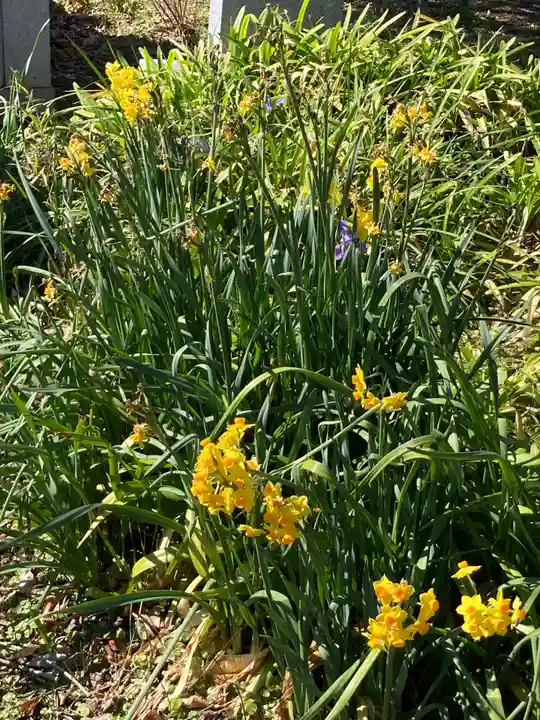 宝前院(神奈川県)