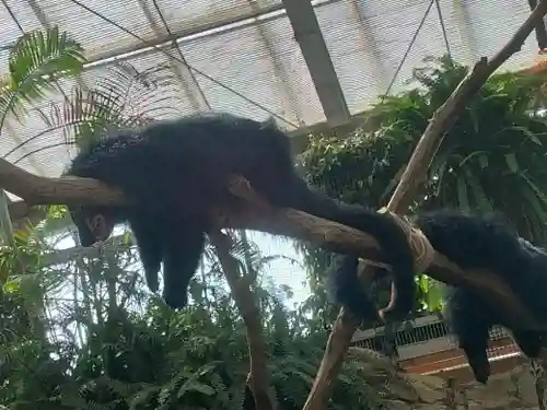 一宮神社(兵庫県)
