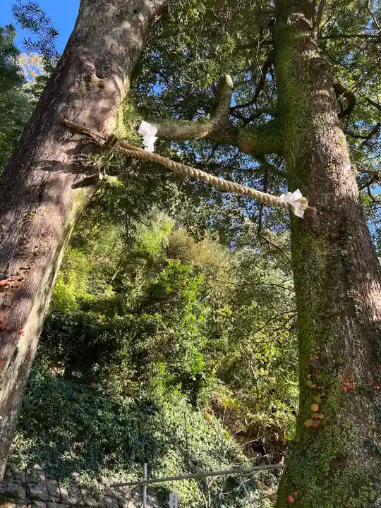 土肥神社(静岡県)