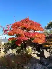 多賀神社(福岡県)