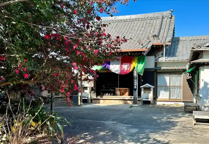 魚養山 大光院の本殿