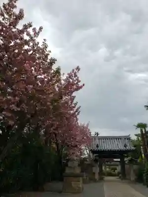 荘厳寺(東京都)