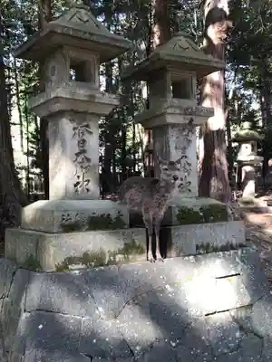 春日大社のその他建物
