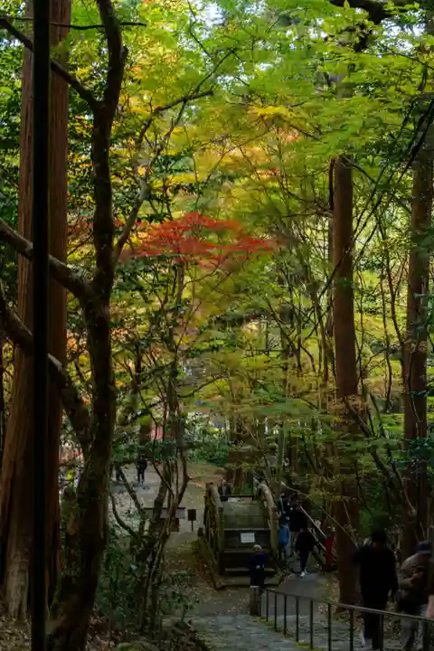 大矢田神社(岐阜県)