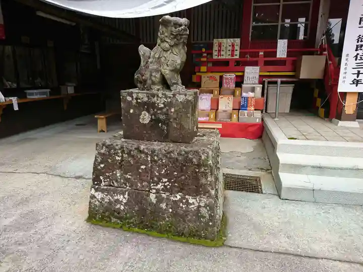 豊玉姫神社の狛犬