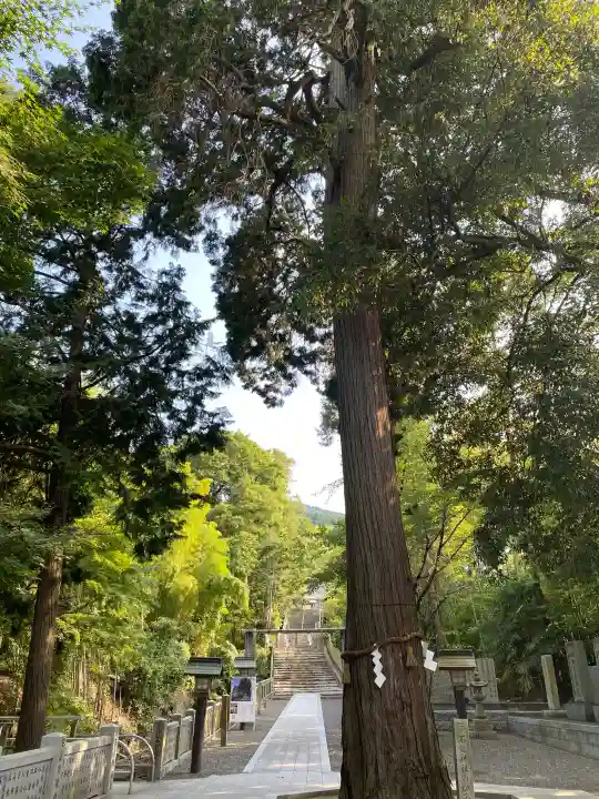 石鎚神社 口之宮 本社(愛媛県)